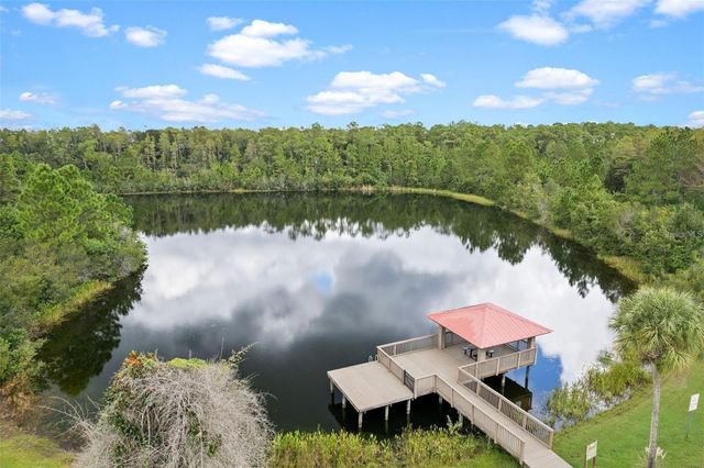 8328 AUBURN RISE COURT, Land O Lakes, FL 34638