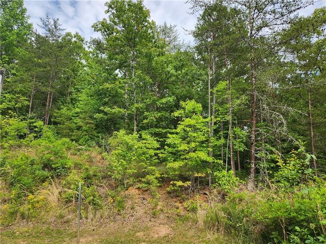 121 Rebecca Court, Dahlonega, GA 30533
