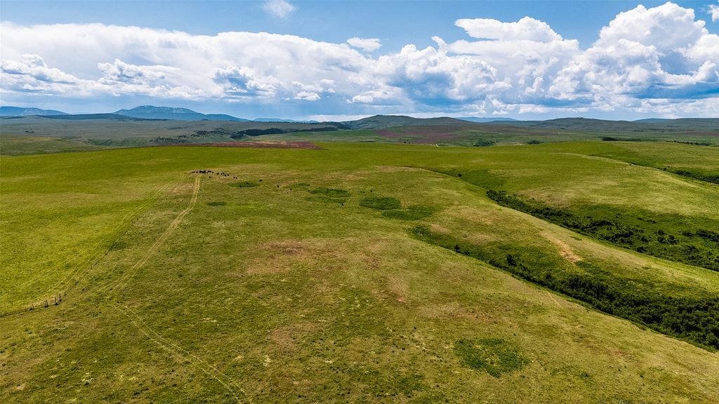 981 Cora Creek Road, Raynesford, MT 59469 photo 13