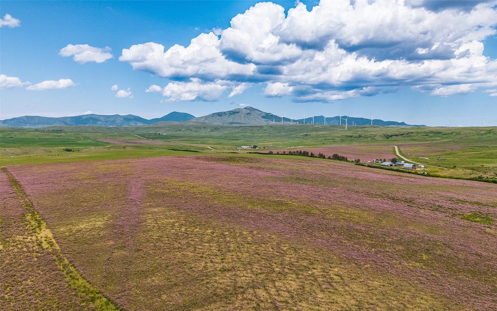 981 Cora Creek Road, Raynesford, MT 59469 photo 20