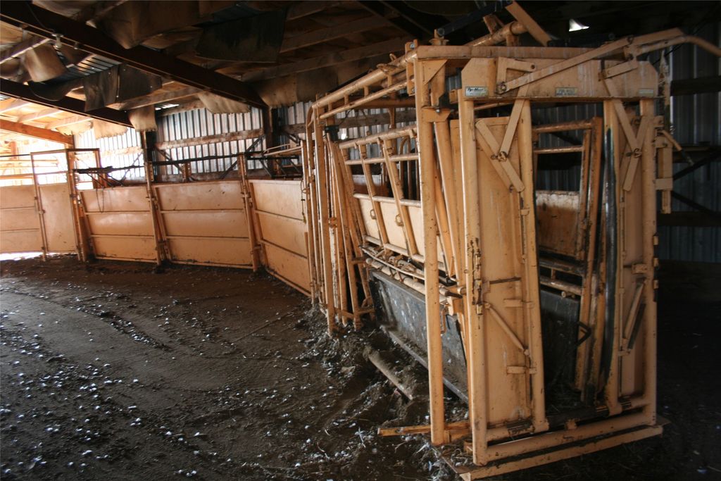 981 Cora Creek Road, Raynesford, MT 59469 photo 34