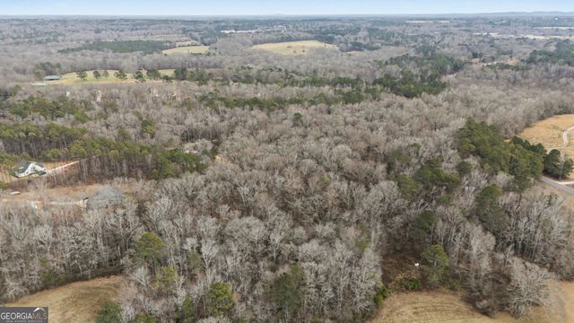 1501 Williamson Zebulon Road, Williamson, GA 30292