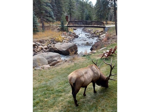 1400 David Dr 7, Estes Park, CO 80517