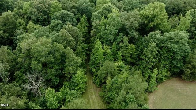 245 Brandon-kelsey Drive, Siler City, NC 27344
