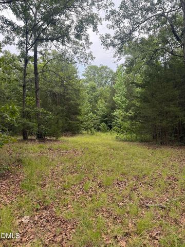 245 Brandon-kelsey Drive, Siler City, NC 27344
