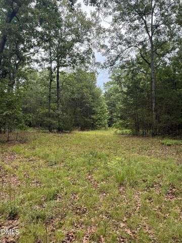 245 Brandon-kelsey Drive, Siler City, NC 27344