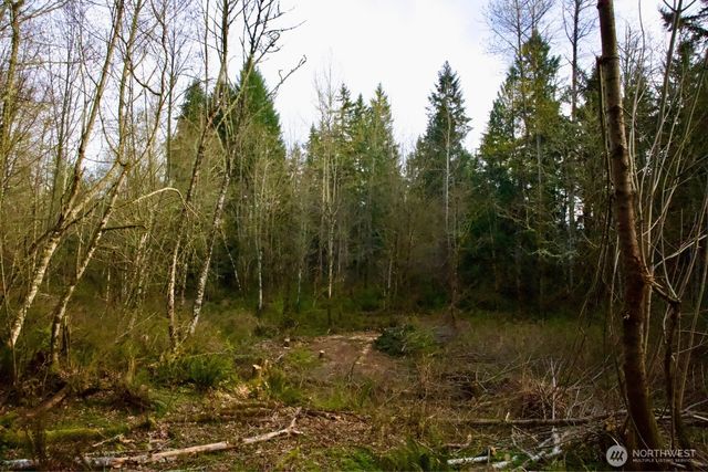 16912 222nd Street SE, Graham, WA 98338