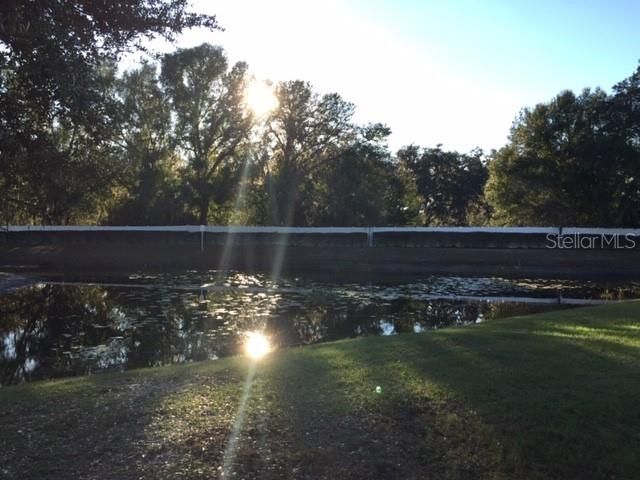 18130 CYPRESS BAY PARKWAY, Land O Lakes, FL 34638