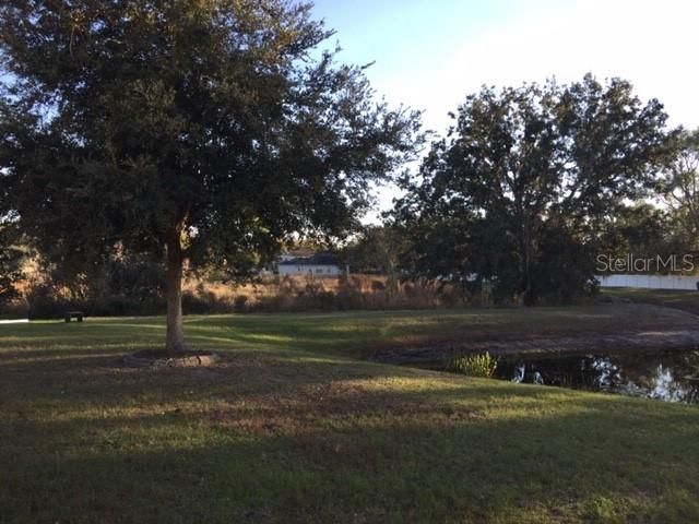 18130 CYPRESS BAY PARKWAY, Land O Lakes, FL 34638