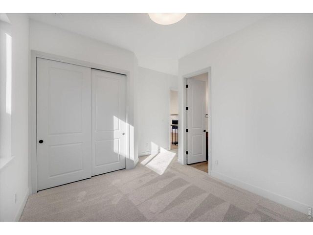 863 Clydesdale Dr, Windsor, CO 80550