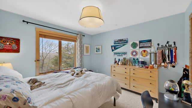 955 Cedar Point Lane SE, Oronoco, MN 55960