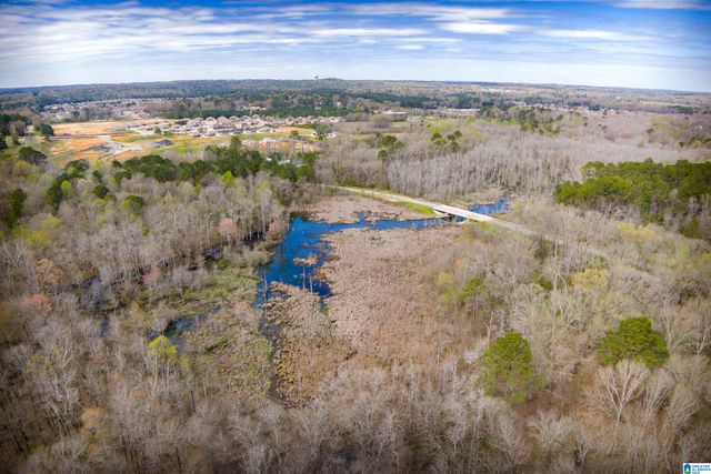 860 COUNTY ROAD 24, Alabaster, AL 35007