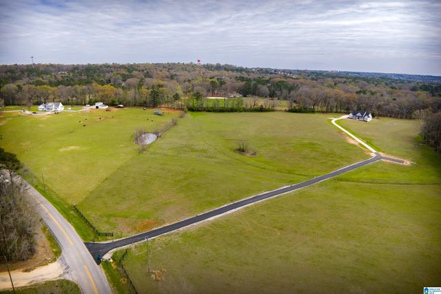 860 COUNTY ROAD 24, Alabaster, AL 35007