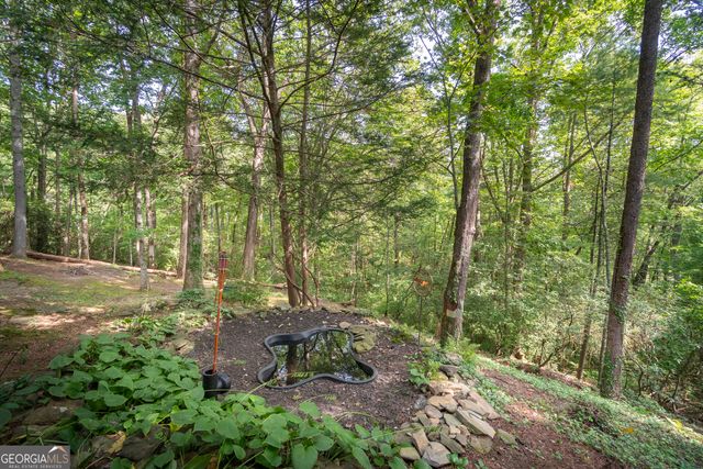 7869 Highway 75 Alt, Helen, GA 30545