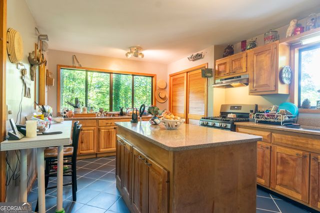 7869 Highway 75 Alt, Helen, GA 30545