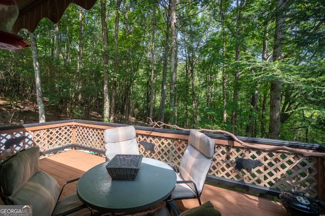 7869 Highway 75 Alt, Helen, GA 30545