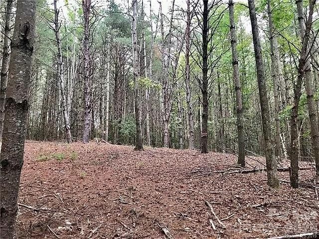 1388 Old Dry Creek Road, Morganton, NC 28655