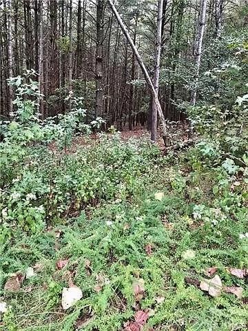 1388 Old Dry Creek Road, Morganton, NC 28655