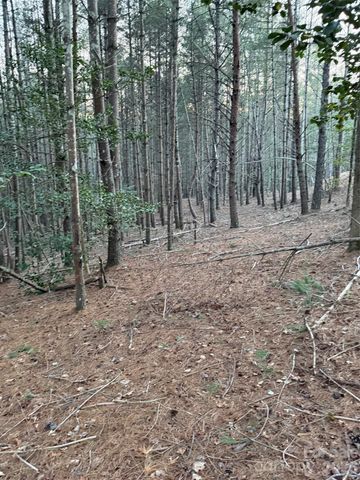 1388 Old Dry Creek Road, Morganton, NC 28655