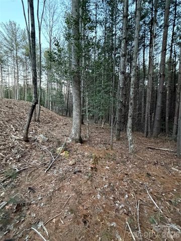 1388 Old Dry Creek Road, Morganton, NC 28655