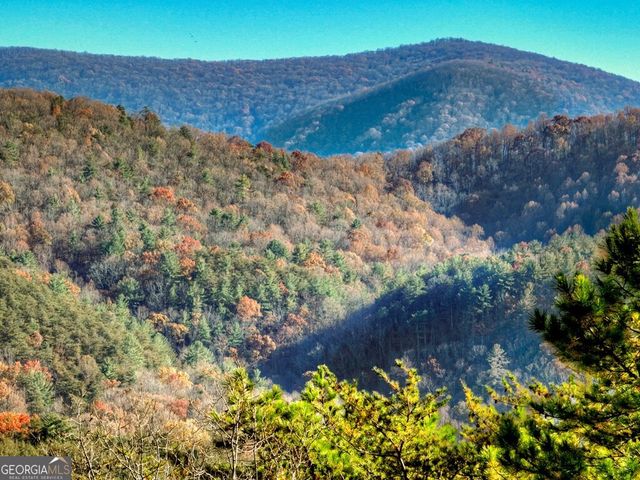 146 Rosiey Lane, Blue Ridge, GA 30513