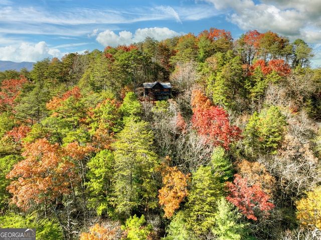 146 Rosiey Lane, Blue Ridge, GA 30513