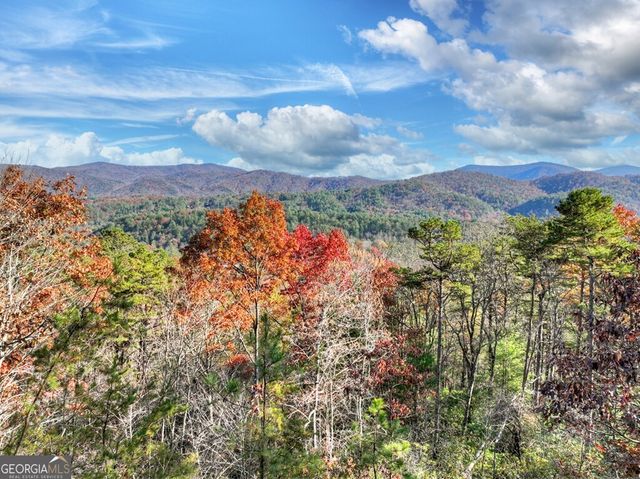 146 Rosiey Lane, Blue Ridge, GA 30513