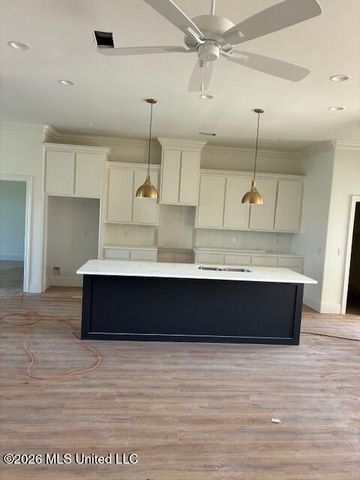 102 Saint Martin Street, Madison, MS 39110