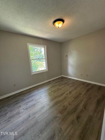 172 Village Lane, Johnson City, TN 37615