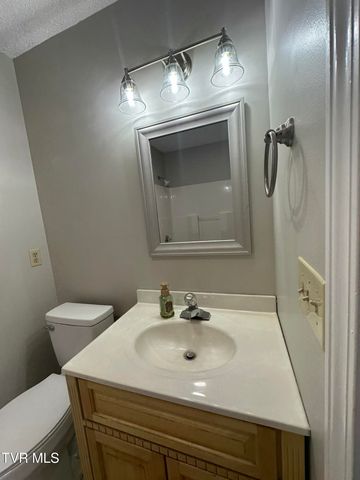 172 Village Lane, Johnson City, TN 37615