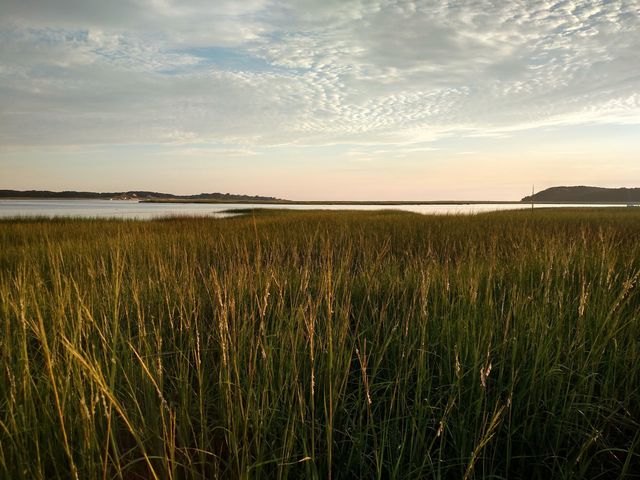 300 Paine Hollow Road, Wellfleet, MA 02667