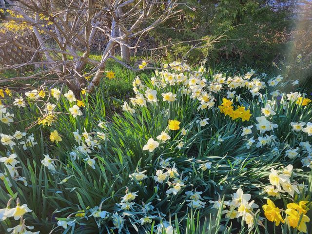 300 Paine Hollow Road, Wellfleet, MA 02667