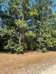 575859 Grand Pine Circle, Livingston, TX 77351