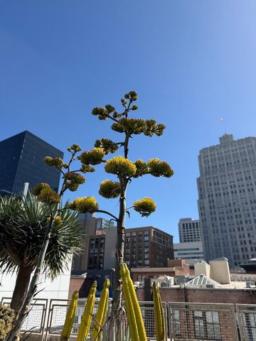 301 Mission Street 23H, San Francisco, CA 94105