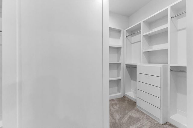 10075 Leonidas Horton Road, Conroe, TX 77304