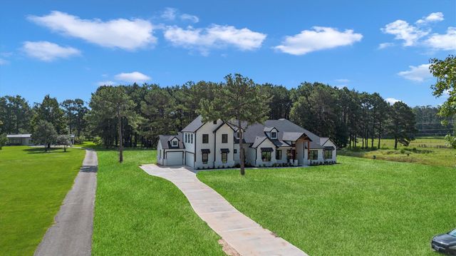 10075 Leonidas Horton Road, Conroe, TX 77304