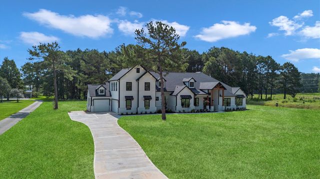 10075 Leonidas Horton Road, Conroe, TX 77304