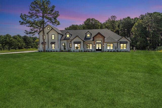 10075 Leonidas Horton Road, Conroe, TX 77304