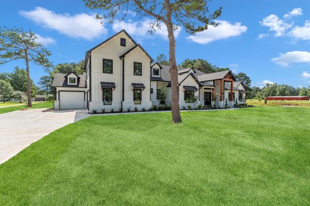 10075 Leonidas Horton Road, Conroe, TX 77304