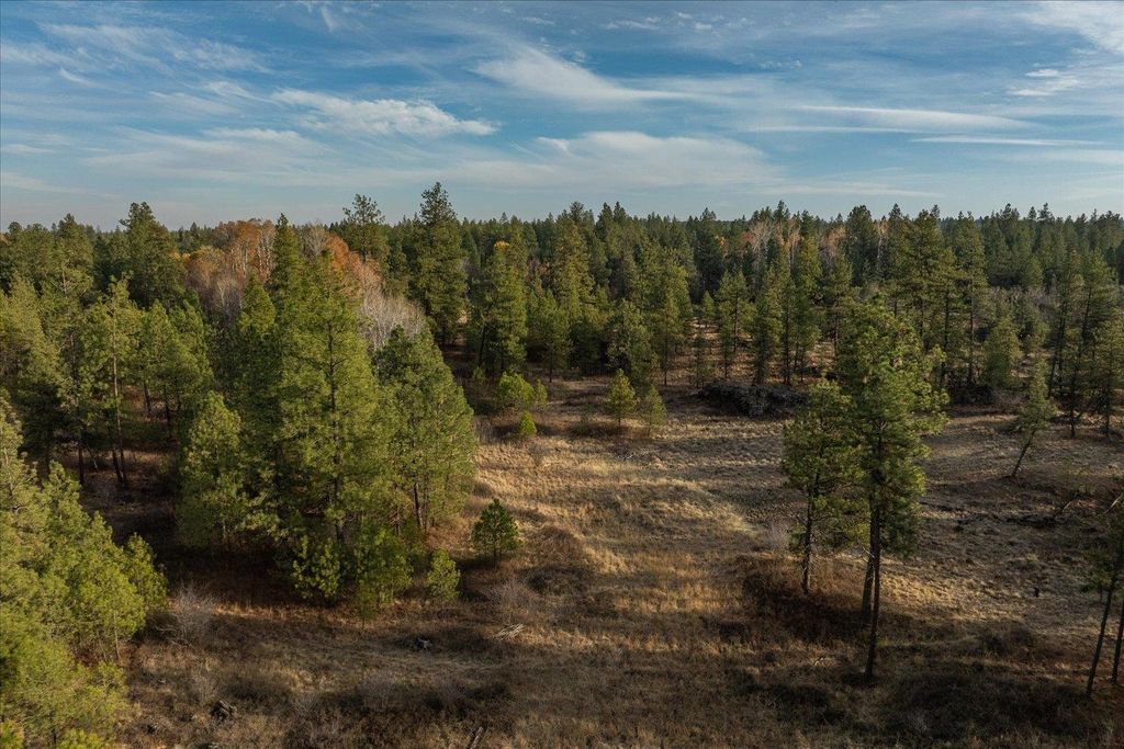 XXXX Vacant Land, Cheney, WA 99004 photo 5