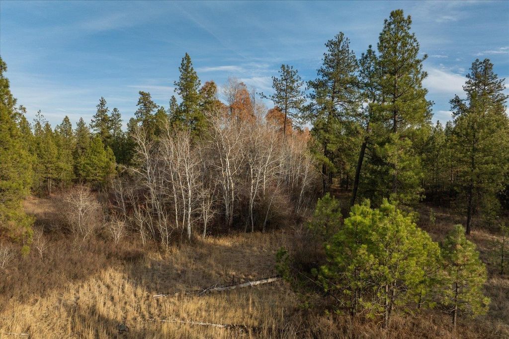 XXXX Vacant Land, Cheney, WA 99004 photo 6