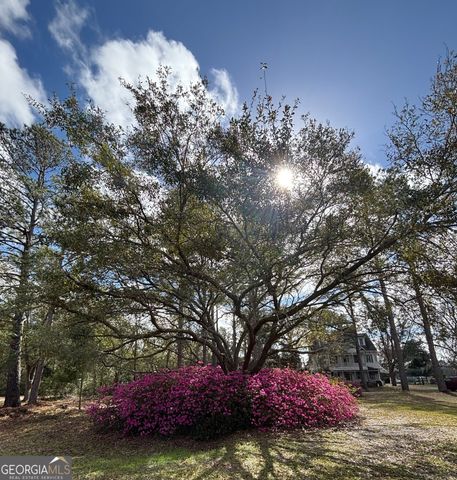 1218 Frank Sessoms Memorial Highway, Homerville, GA 31634