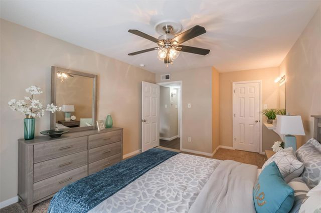 5900 N Braeswood Blvd 245, Houston, TX 77074