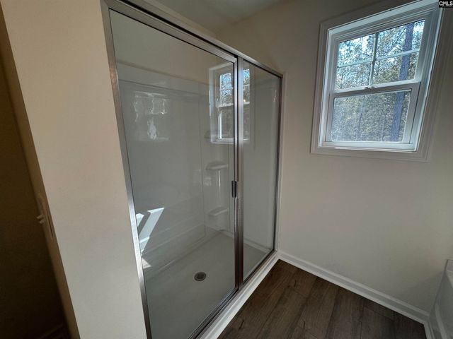 614 Griffon Drive, Chapin, SC 29036