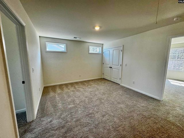 614 Griffon Drive, Chapin, SC 29036