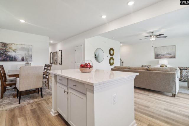 614 Griffon Drive, Chapin, SC 29036