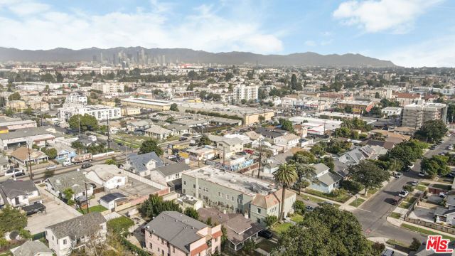 1101 W 45th Street, Los Angeles, CA 90037