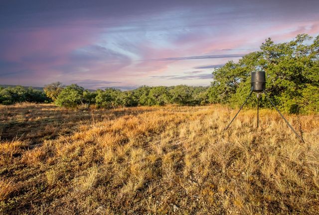 12516 Wire Road, Leander, TX 78641