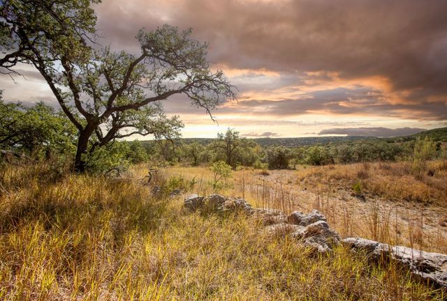 12516 Wire Road, Leander, TX 78641