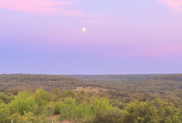 12516 Wire Road, Leander, TX 78641